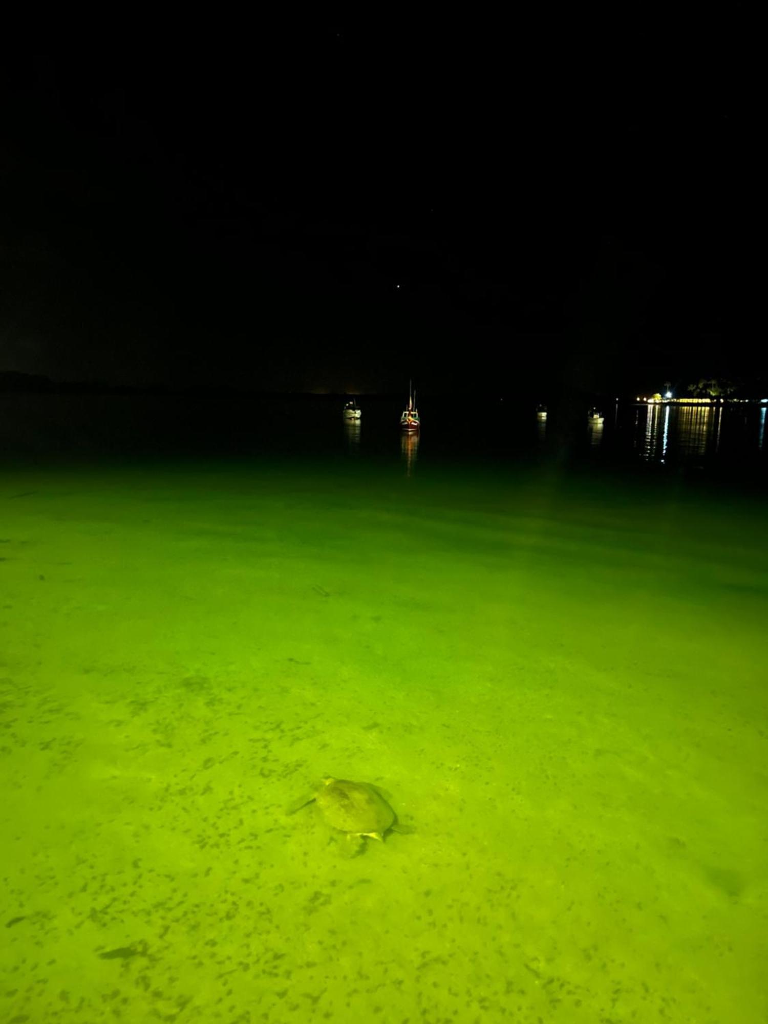 Koh Mook Garden Beach Resort Ko Mook Exterior foto